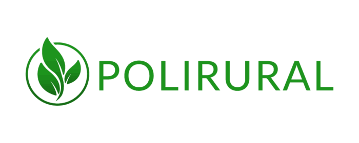 Future Oriented Collaborative Policy Development for Rural Areas and People